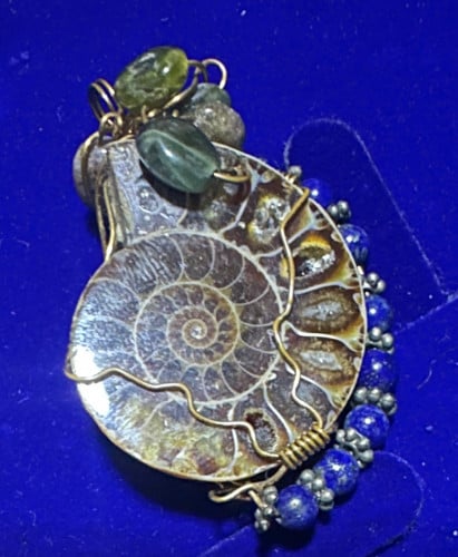 បន្តោងផូស៊ីលខ្ចង 🐌 Snail fossil របស់កម្រ