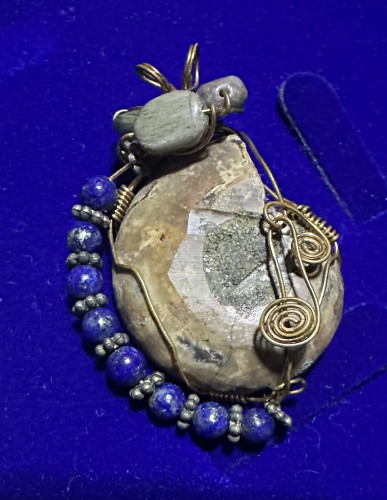 បន្តោងផូស៊ីលខ្ចង 🐌 Snail fossil របស់កម្រ