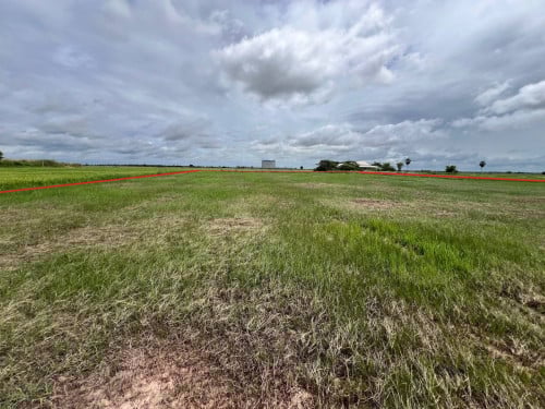 🏠Land for Urgent Sale (Negotiable), ABA Loan Available