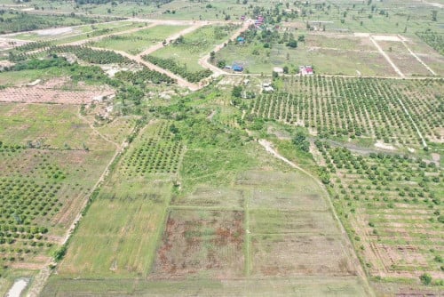 ដីប្លង់រឹងសម្រាប់លក់