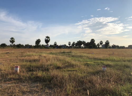 ដីឡូតិ៍លក់ (តម្លៃចរចារបាន)