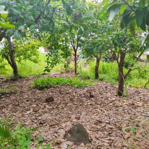 🏦Land for Urgent Sale (Negotiable), ABA Loan Available