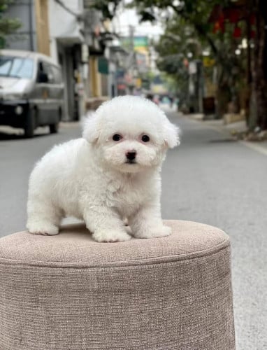 Available in store, can come and see for yourself.