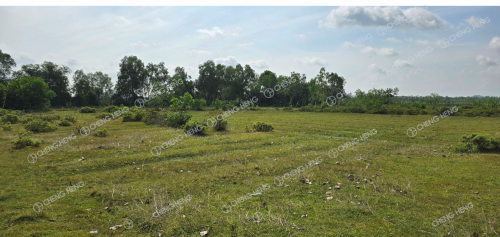 ដីដាក់លក់   -S112