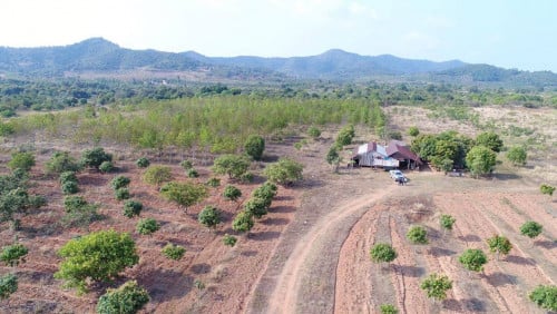 ដីលក់នៅជិតភ្នំវល្លិ៍ខេត្តកែប