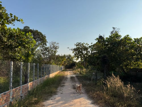 ដីល្អក្បាលបែរទៅទិសខាងកើត 10mx25m  25000$