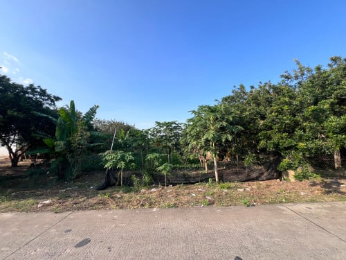 ដីលំហែរជាប់ទន្លេ (នៅកោះអន្លង់ចិន)