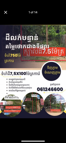 ដីលក់បន្ទាន់នៅកោះអន្លង់ចិនជិតស្វាយរលំ