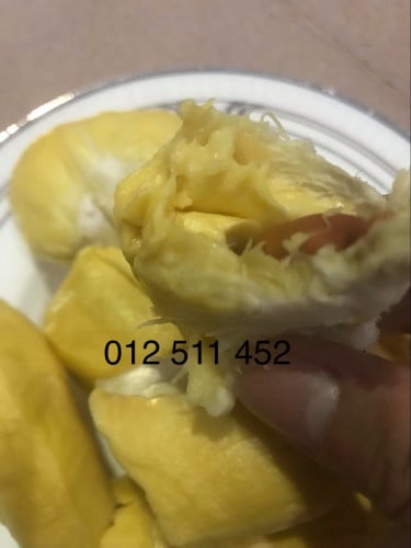 ទុរេនឪខាក់កំពត💯%