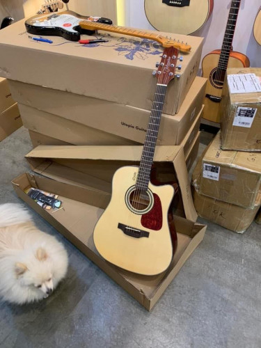 guitar Takamine (99%) ទិញមកអត់បានលេង​