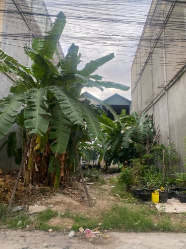 ដីលក់ជិតផ្សារចាក់អង្រែក្រោម