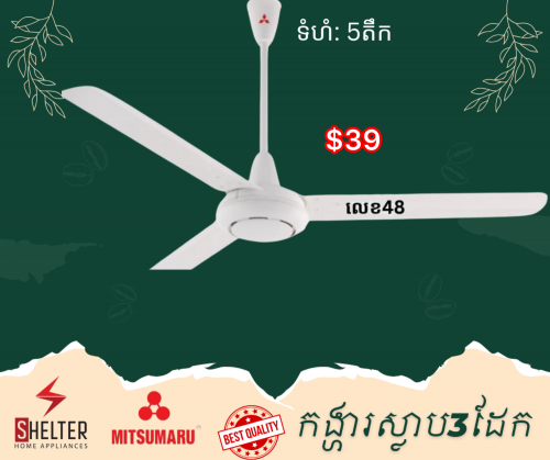 កង្ហារព្យួរពិដាន ស្លាប3