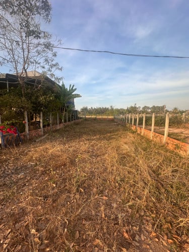 ដីលក់ ក្រុងសៀមរាប