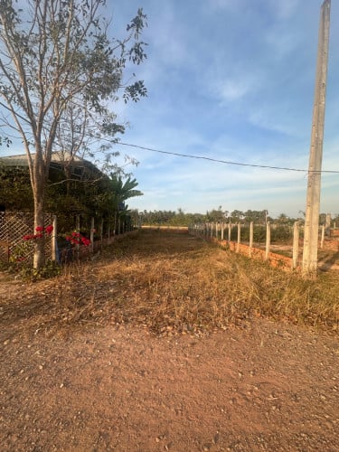 ដីលក់ ក្រុងសៀមរាប