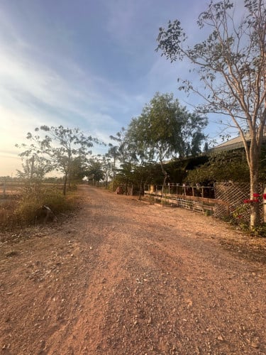 ដីលក់ ក្រុងសៀមរាប