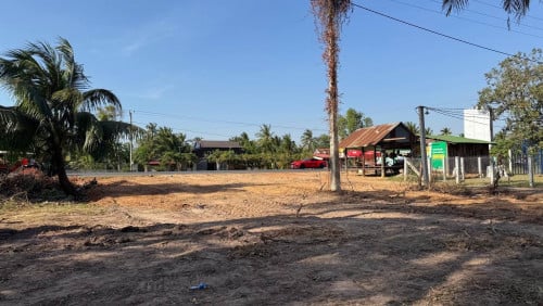 ដីជួលជិតផ្សារ