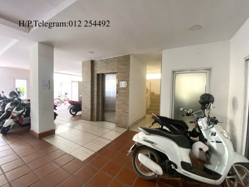 Nice Fully Furnished Elevator Apartment for Rent