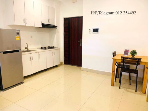 Nice Fully Furnished Elevator Apartment for Rent