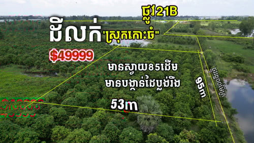 #ដីចំការលក់ នៅក្បែរផ្លូវ21B