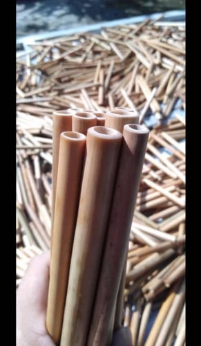 ទុយោឬស្សី Bamboo straw