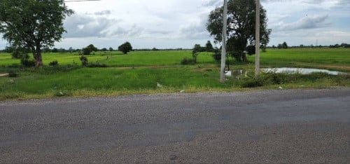 ដីស្រែក្បែរភូមិ លក់ធូរៗ