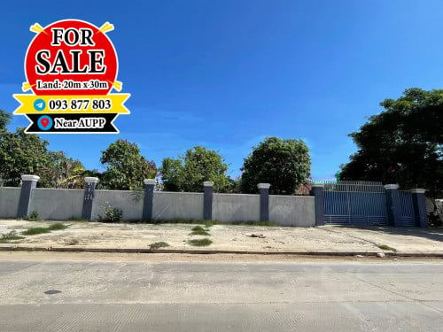 ដីលក់នៅជិតសាកលវិទ្យាល័យAUPP