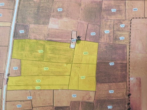 ដី សំរាប់ធ្វើរោងចក្រ land for factory