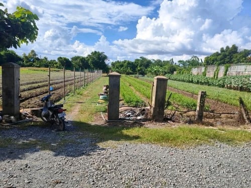 ដីលំនៅឋាន ព្រែកឯង ច្បារអំពៅ ក្បែរ រមណីយដ្ឋាន រំដួល