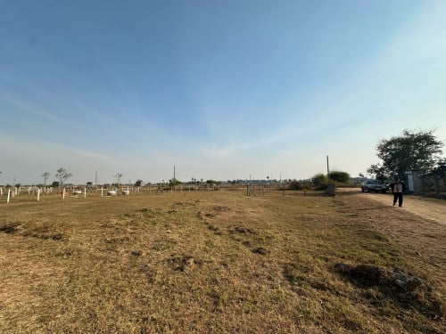 ដីលក់២ប្លង់ជាប់គ្នាកែង មានប្លង់រឹងស្រាប់