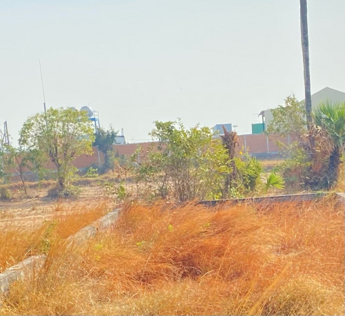លក់ដីឡូ