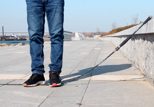 ឈុតស្ទូចត្រី