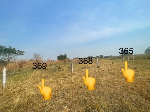 ដីលក់បន្ទាន់  ខេត្តកណ្តាល