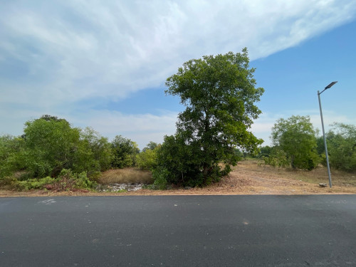 ដីលក់បន្ទាន់