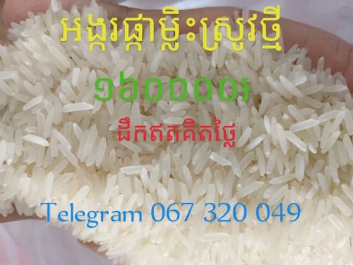 លក់អង្ករផ្កាម្លិះ