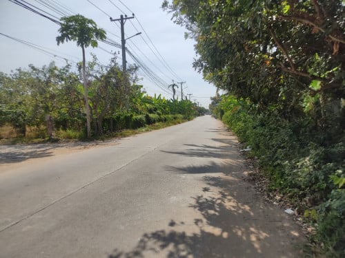 ដីលក់បន្ទាន់ ក្បាលដី​ 70m x 60m ផ្លូវពីបេតុងសងខាង