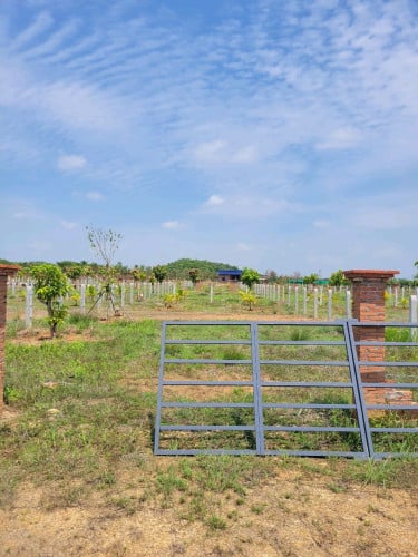 ដីលក់បន្ទាន់ ក្រោមទីផ្សារ តំបន់អភិវឌ្ឍន៍នៅកំពង់ស្ពឺ ទំហំ 10m x 24m ប្លង់រឹងតម្លៃអាចចចារបាន