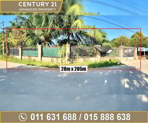 🏘ដី សម្រាប់ជួល នៅសង្កាត់ព្រែកថ្មី ជិតស្ពានព្រែកសំរោង ខណ្ឌច្បារអំពៅ