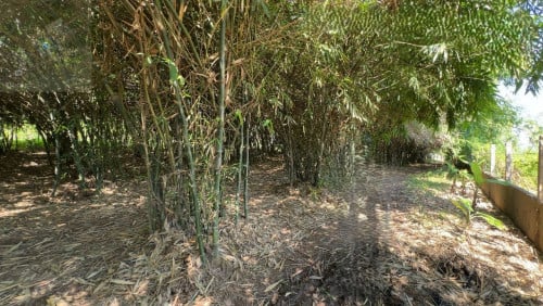 ๐ฆLand Available for Urgent Sale at a Special Price (Negotiable).