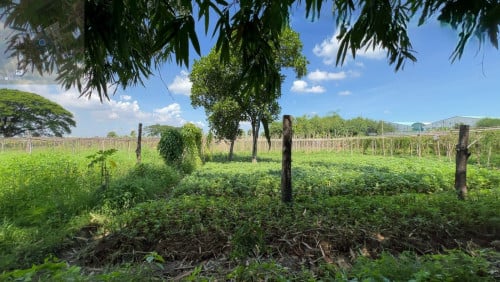๐ฆLand Available for Urgent Sale at a Special Price (Negotiable).