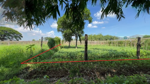 🏦Land Available for Urgent Sale at a Special Price (Negotiable).