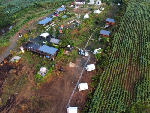 រីសតលក់ ប្លង់រឹង ដំណើរការល្អ លក់បន្ទាន់