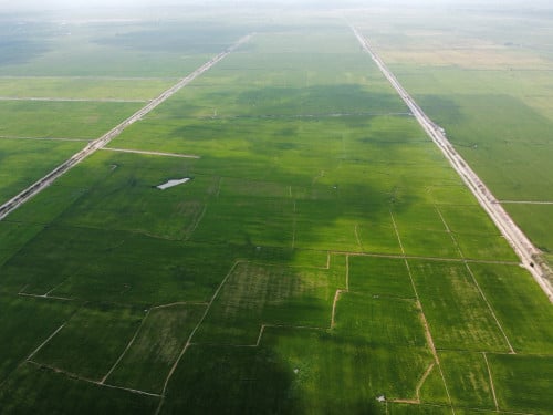 ដីកសិកម្ម ក្នុងក្រុងសំពៅពូនសំរាប់លក់