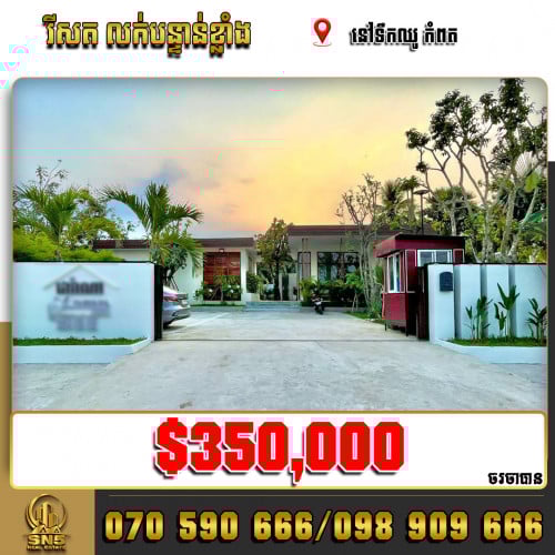 📣💁‍♀️រីសត លក់បន្ទាន់ខ្លាំង នៅទឹកឈូ កំពត🎉🎉