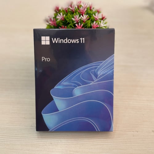 Windows 11 Pro