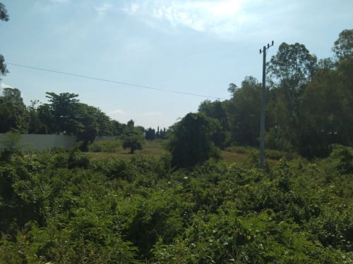 ដីលក់នៅកៀនស្វាយជាប់ផ្លូវជាតិលេខ១