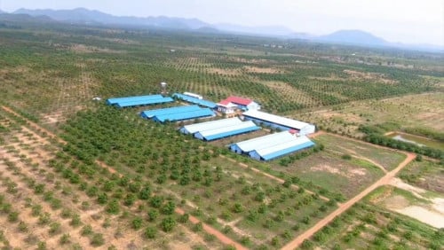 ដីលក់ជាប់ផ្លូវជាតិលេខ44 ខេត្តកំពង់ស្ពឺ/Good Location Land for Factory or special Economic Zone