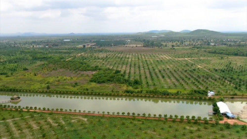 ដីលក់ជាប់ផ្លូវជាតិលេខ44 ខេត្តកំពង់ស្ពឺ/Good Location Land for Factory or special Economic Zone