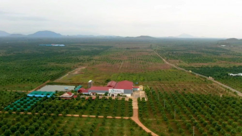 ដីលក់ជាប់ផ្លូវជាតិលេខ44 ខេត្តកំពង់ស្ពឺ/Good Location Land for Factory or special Economic Zone