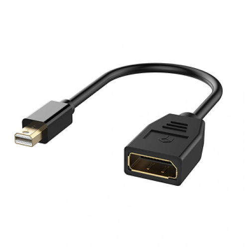 Mini DisplayPort to DisplayPort (F) Adapter