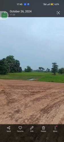 ដីស្រែនៅសំរោងទងជាប់ផ្លូវភូមិនិងផ្លូវរទេះ។